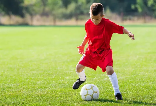 凤凰体育直播App 截图