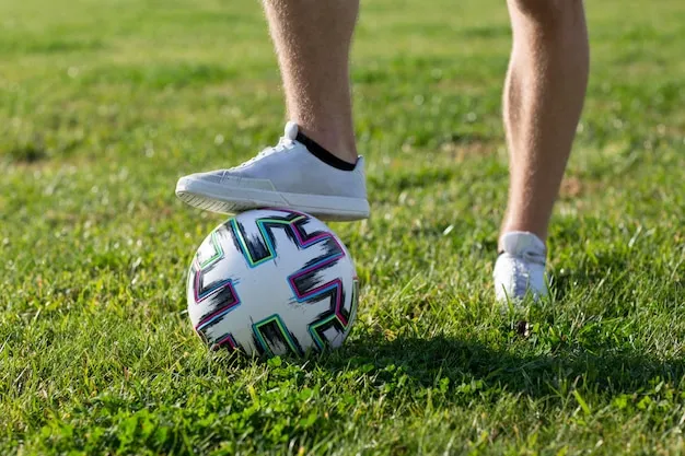 赛事一览与实时比分